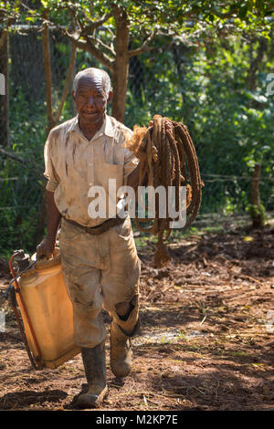 brother 'D' Jamaican third age cowboy, Manchester parish, Jamaica,West Indies, Caribbean Stock Photo