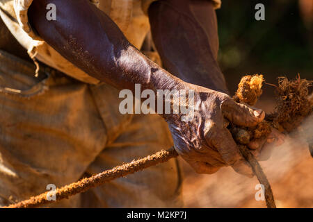 brother 'D' Jamaican third age cowboy, Manchester parish, Jamaica,West Indies, Caribbean Stock Photo