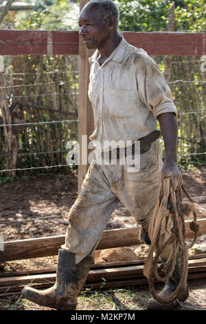 brother 'D' Jamaican third age cowboy, Manchester parish, Jamaica,West Indies, Caribbean Stock Photo