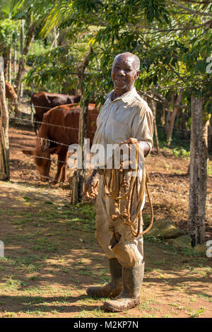 brother 'D' Jamaican third age cowboy, Manchester parish, Jamaica,West Indies, Caribbean Stock Photo