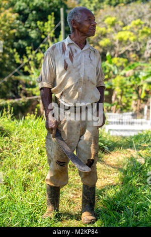 brother 'D' Jamaican third age cowboy, Manchester parish, Jamaica,West Indies, Caribbean Stock Photo