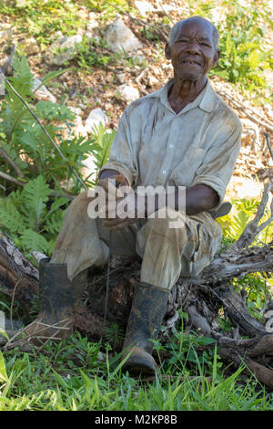 brother 'D' Jamaican third age cowboy, Manchester parish, Jamaica,West Indies, Caribbean Stock Photo