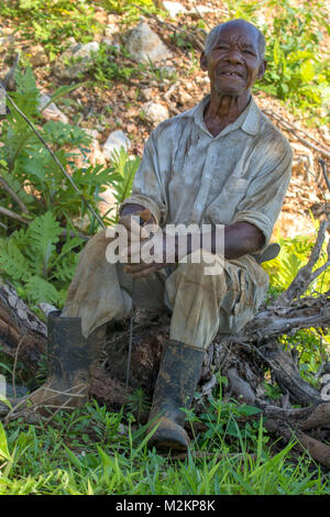 brother 'D' Jamaican third age cowboy, Manchester parish, Jamaica,West Indies, Caribbean Stock Photo