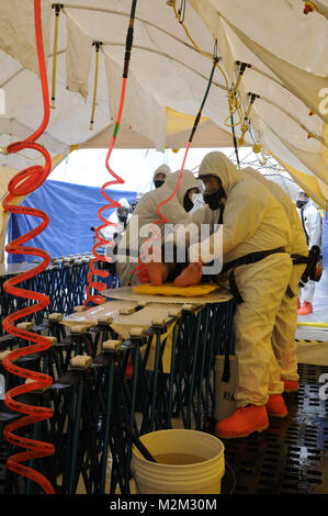 Soldiers of the 436th Chemical Company wash and decontaminate a simulated casualty while wearing their full protective gear in the Texas heat as part of a chemical mass casualty exercise.The Texas National Guard's Standing Joint Interagency Task Force (SJIATF) training exercise is part of their Chemical, Biological, Radiological, Nuclear and High-Yield Explosive Enhanced Response Force Package (CERFP) certification program. There are only 17 CERFP units in the United States. CERFP 04 by Texas Military Department Stock Photo