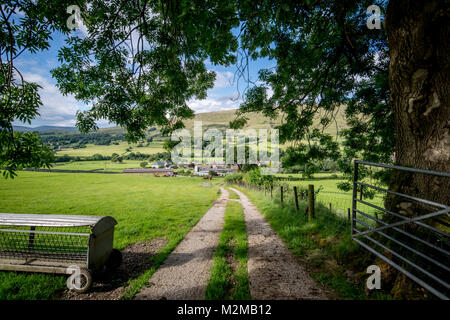 Tree covers pathway leading into the town of Dent, Yorkshire Dales, UK Stock Photo