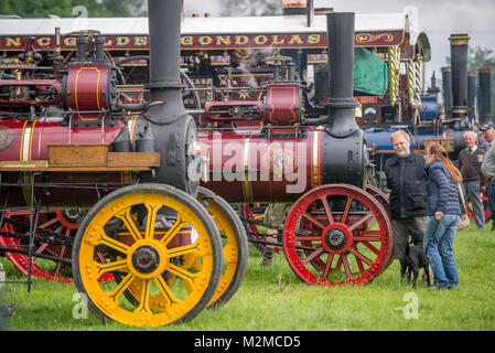 Couple with dog admire steam engine tractor, Masham, North Yorkshire, UK Stock Photo