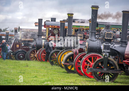 Vintage tractor steam engines line up neatly on display, Masham, North Yorkshire, UK Stock Photo