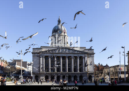 Old Market Square and Pigeons Nottingham city centre,UK. Stock Photo