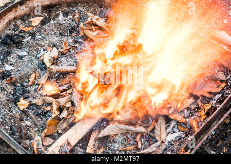 Closeup of wooden logs wood on large fire, many leaves burning showing detail and texture by campground campfire grill in outdoor park with flame, smo Stock Photo