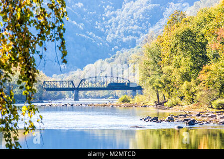 New River Gorge wide canyon water river lake during autumn golden orange foliage in fall by Grandview with peaceful calm tranquil day, closeup of brid Stock Photo