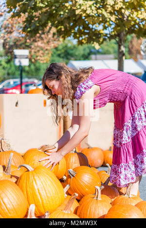 Young woman in pink dress picking up holding heavy large pumpkins from group stack in outdoor market store for holidays in country countryside Stock Photo