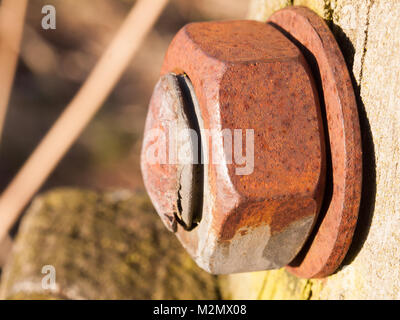 close up of large rusty bolt and screw head; essex; england; uk Stock Photo