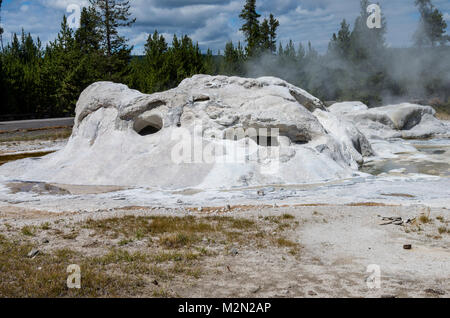 Grotto Geyser has a unique shape built up of geyserite deposites.  Upper Geyser Basin.  Yellowstone National Park, Wyoming, USA Stock Photo