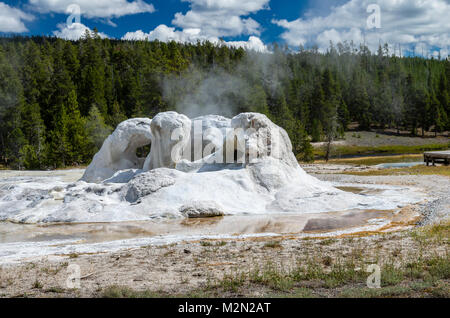 Grotto Geyser has a unique shape built up of geyserite deposites.  Upper Geyser Basin.  Yellowstone National Park, Wyoming, USA Stock Photo