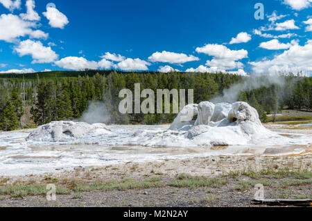 Grotto Geyser has a unique shape built up of geyserite deposites.  Upper Geyser Basin.  Yellowstone National Park, Wyoming, USA Stock Photo