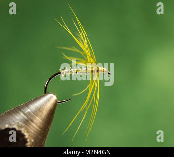 Blue Needle Peacock Soft Hackle wet fly Hook: TMC 103BL No.11 Body:  cerulean blue floss Thorax: peacock herl Hackle: blue peacock cape feather  Stock Photo - Alamy