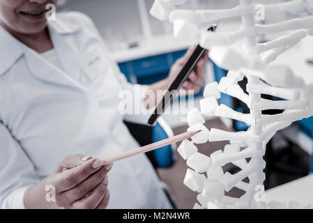 Close up of female scientist analyzing dna model Stock Photo