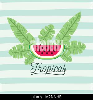 watermelon fruits with leaves on decorative lines color background Stock Vector