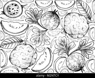 Tropical Fruits, Illustration Backgroundof Hand Drawn Sketch Guava and Indian Gooseberry Fruits. Stock Vector