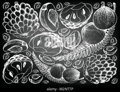 Tropical Fruits, Illustration Background of Hand Drawn Sketch Fresh Indian Gooseberry and Custard Apple on Black Chalkboard. Stock Vector