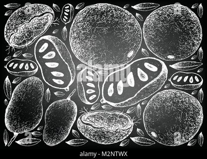 Tropical Fruits, Illustration Background of Hand Drawn Sketch Fresh Wood Apple or Limonia Acidissima and Paw Paw or Asimina Triloba Fruits on Black Ch Stock Vector