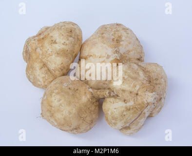 Mexican yam on white background Stock Photo