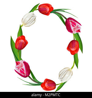 Circle floral frame from red, pink and white tulips with green leaves isolated on a white background. Spring festive design for greeting card with pla Stock Photo