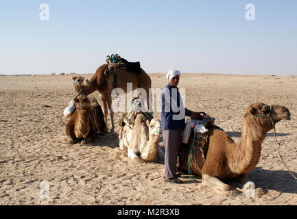 Camels and their Berber guide resting in the desert sand near Douz, Tunisia Stock Photo