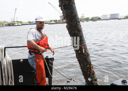 Deckhand James Jarrell secures a large piece of debris prior to bringing it onboard the Corps Vessel Harrell in the Elizabeth River days after Hurricane Irene blew through the area. The Hampton Roads Harbor Debris Removal Project, which takes place all year long, ensures the federal navigation channel is safe for commercial shipping and boaters.  (U.S. Army Photo/Patrick Bloodgood) 110830-A-OI229-028 by norfolkdistrict Stock Photo