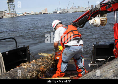 Deckhand James Jarrell cuts a large piece of debris removed from the Elizabeth River that will not fit on the deck of the Corps Vessel Harrell days after Hurricane Irene came through the area.   The Hampton Roads Harbor Debris Removal Project, which takes place all year long, ensures the federal navigation channel is safe for commercial shipping and boaters.  (U.S. Army Photo/Patrick Bloodgood) 110830-A-OI229-032 by norfolkdistrict Stock Photo