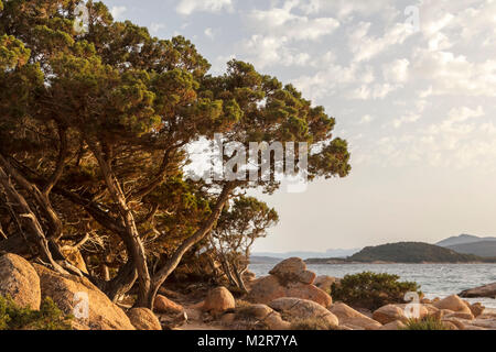 The mountains and the sea on the island Sardinia, Italy. Stock Photo