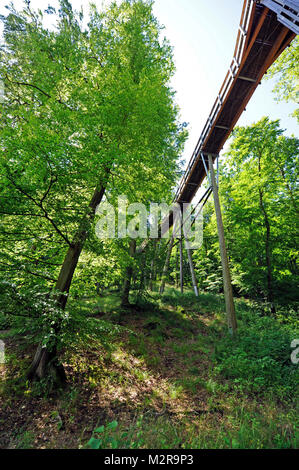 Baumwipfelpfad' (path) without barriers in the nature heir centre of the island Rügen with the forester's house Prora, Mecklenburg-Western Pomerania, Germany Stock Photo