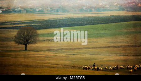 old vintage pastoral landscape with herd of sheep near bulgarian small village Stock Photo