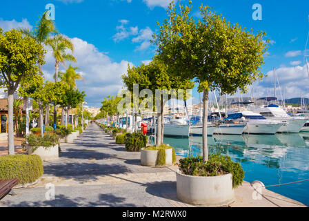 Passeig Maritim, Paseo Maritimo, Alcudiamar, Port d'Alcudia, Mallorca, Balearic islands, Spain Stock Photo