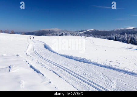 Cross country ski track in the Schauinsland with view from the Feldberg, Black Forest, Baden-Wurttemberg, Germany