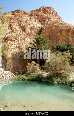 Mountain pool, Chebika oasis, southern Tunisia Stock Photo