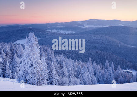 Winter scenery on the Belchen at sunrise with view to the Feldberg, Black Forest, Baden-Wurttemberg, Germany Stock Photo