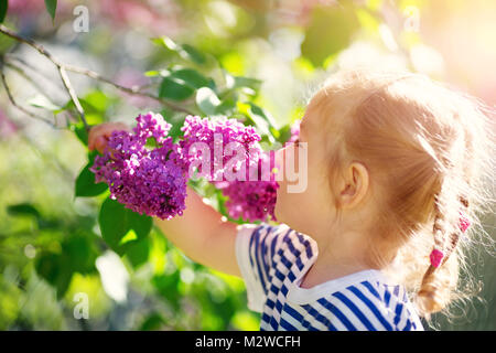 Little child smelling tulips on the flower bed in beautiful spring day Stock Photo