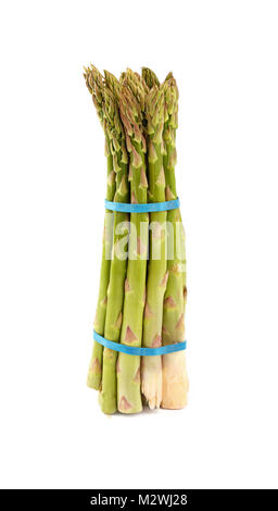 Close up fresh bundle bunch of garden green asparagus shoots standing isolated on white background, low angle side view Stock Photo