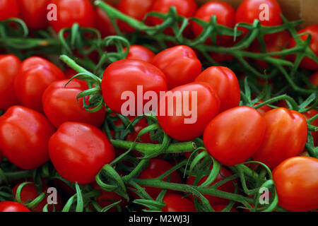 Close up fresh red cherry tomatoes on green branch at retail display of farmers market, low angle view Stock Photo