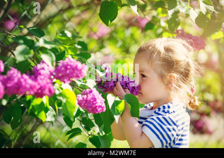 Little child smelling tulips on the flower bed in beautiful spring day Stock Photo
