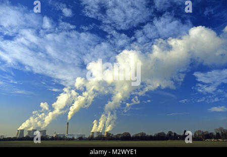 wild flowers growing in field by drax coal powered power station drax yorkshire uk Stock Photo