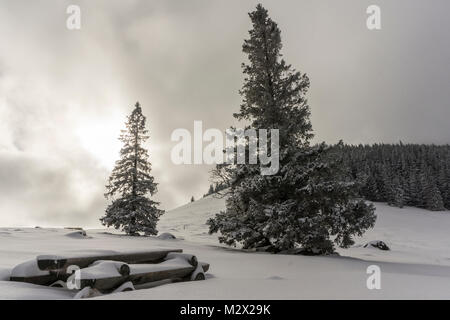 Beautiful winter landscape on Rusinowa Glade. Tatra mountains. Stock Photo