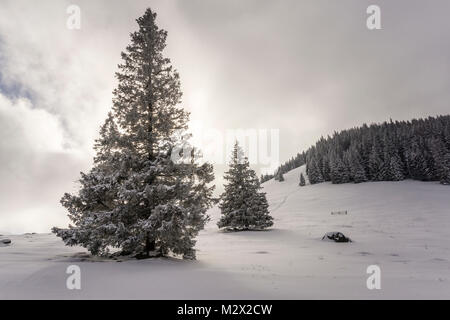 Beautiful winter landscape on Rusinowa Glade. Tatra mountains. Stock Photo