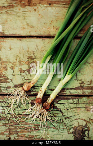 vintage fresh onion picture in wooden table, textured food background, some noise added for stronger vintage effect
