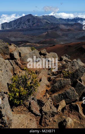 Colourful crater in the Haleakala National park, Maui, Hawaii Stock