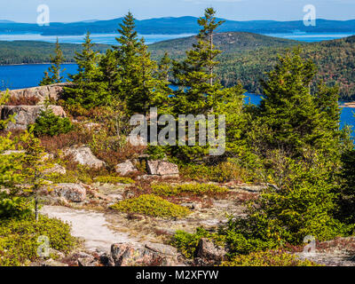 hiking trail acadia np maine Stock Photo - Alamy