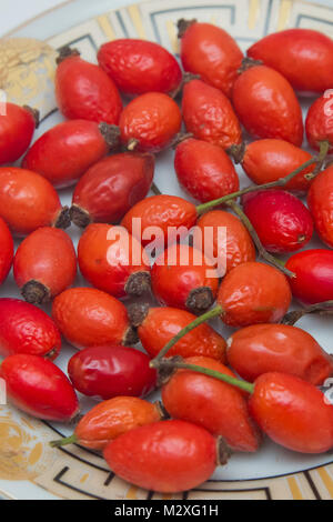 Top view of rose hips in bowl isolated on white . Rose hip Stock Photo