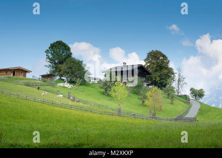 Austria, Tyrol, Reith bei Kitzbuehel, farms close Reith. Stock Photo