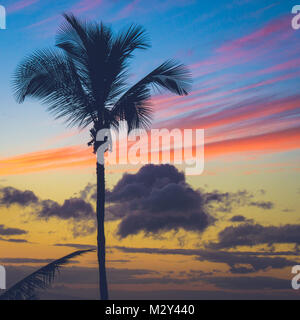 Beautiful silhouette of a palm tree at sunset with dramatic clouds near Makena Beach, Maui, Hawaii Stock Photo